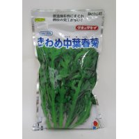 [葉物]　摘みとりシュンギク　きわめ中葉春菊　1Ｌ　タキイ種苗