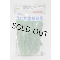 [春菊]　摘みとりシュンギク　きわめ中葉春菊　1L　タキイ種苗