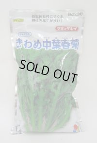 [春菊]　摘みとりシュンギク　きわめ中葉春菊　1L　タキイ種苗