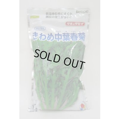 画像1: [春菊]　摘みとりシュンギク　きわめ中葉春菊　1L　タキイ種苗