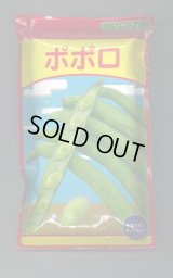 送料無料　[そら豆]　ポポロ　13粒　武蔵野種苗園