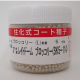 送料無料　[ブロッコリー]　レイトドーム　ペレット5000粒　(株)サカタのタネ
