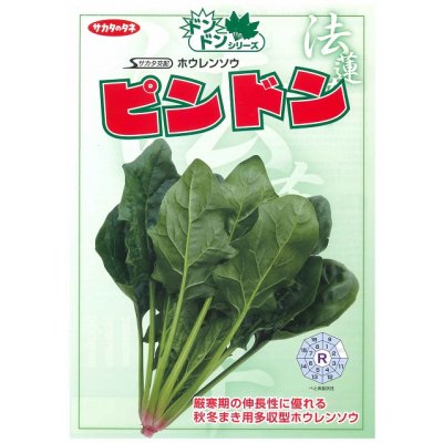 画像3: [ほうれんそう] ピンドン 種子サイズＭ 3万粒 （株）サカタのタネ