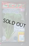 [ほうれんそう]　ピンドン　種子サイズＭ　　　3万粒　（株）サカタのタネ