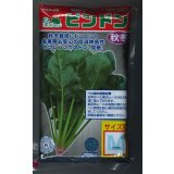 [ほうれんそう]　ピンドン　種子サイズＭ　　　3万粒　（株）サカタのタネ