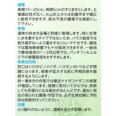 画像5: [ほうれんそう] ピンドン 種子サイズＭ 3万粒 （株）サカタのタネ