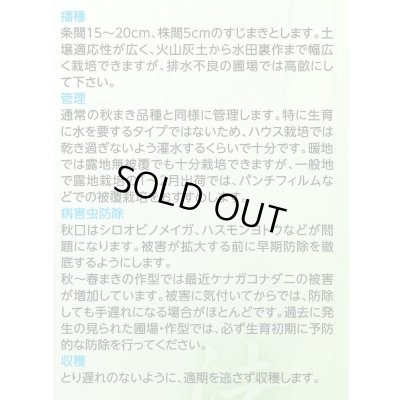 画像5: [ほうれんそう]　ピンドン　種子サイズＭ　　　3万粒　（株）サカタのタネ