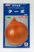 送料無料　[たまねぎ]　ターボ　20ml　タキイ種苗(株)