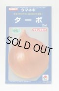 送料無料　[たまねぎ]　ターボ　20ml　タキイ種苗(株)