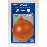 送料無料　[たまねぎ]　ターボ　20ml　タキイ種苗(株)