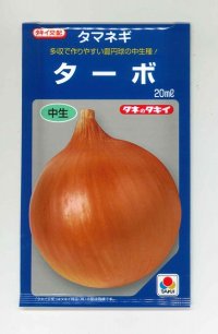 送料無料　[たまねぎ]　ターボ　20ml　タキイ種苗(株)