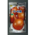 送料無料　[たまねぎ]　O・K黄　2dl　タキイ種苗(株)
