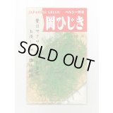 送料無料　[葉物]　岡ひじき　10ml　(株)タカヤマシード