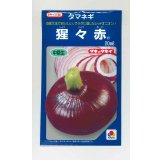 送料無料　[たまねぎ]　猩々赤　20ml　タキイ種苗(株)