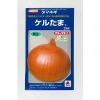 送料無料　[たまねぎ]　ケルたま　20ml　タキイ種苗(株)