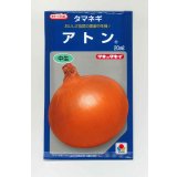 送料無料　[たまねぎ]　アトン　20ml　タキイ種苗(株)
