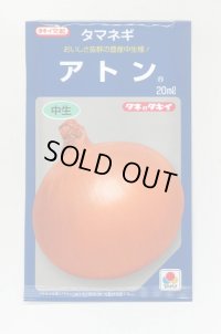 送料無料　[たまねぎ]　アトン　20ml　タキイ種苗(株)