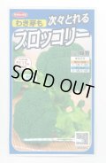 送料無料　[ブロッコリー]　緑笛　約110粒　(株)サカタのタネ　実咲450（002929）