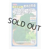送料無料　[ブロッコリー]　緑笛　約110粒　(株)サカタのタネ　実咲450（002929）