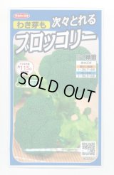 送料無料　[ブロッコリー]　緑笛　約110粒　(株)サカタのタネ　実咲450（002929）
