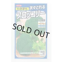 送料無料　[ブロッコリー]　緑笛　約110粒　(株)サカタのタネ　実咲450（002929）