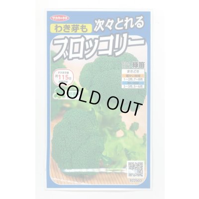 画像1: 送料無料　[ブロッコリー]　緑笛　約110粒　(株)サカタのタネ　実咲450（002929）