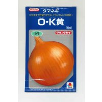 送料無料　[たまねぎ]　O・K黄　20ml　タキイ種苗(株)
