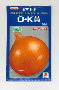 送料無料　[たまねぎ]　O・K黄　20ml　タキイ種苗(株)