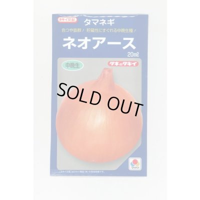 画像1: 送料無料　[たまねぎ]　ネオアース　20ml　タキイ種苗(株)