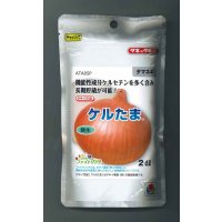 送料無料　[たまねぎ]ケルたま2dl（ およそ27,800粒）タキイ種苗(株)