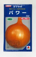 送料無料　[たまねぎ]　パワー　20ml　タキイ種苗(株)