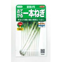 [ねぎ]　夏扇4号　約400粒　　（株）サカタのタネ　　実咲