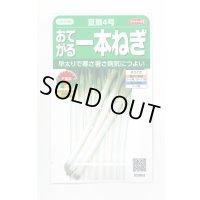 送料無料　[ねぎ]　夏扇4号　約400粒　(株)サカタのタネ　実咲450（003044）