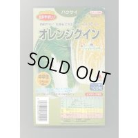 送料無料 [白菜] オレンジクイン ペレット種子 100粒 タキイ種苗(株)