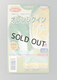 送料無料 [白菜] オレンジクイン ペレット種子 100粒 タキイ種苗(株)