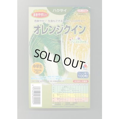 画像1: 送料無料　[白菜]　オレンジクイン　ペレット種子　100粒　タキイ種苗(株)