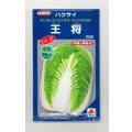 送料無料　[白菜]　王将　20ml　タキイ種苗(株)