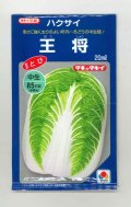 送料無料　[白菜]　王将　20ml　タキイ種苗(株)