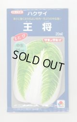 送料無料　[白菜]　王将　20ml　タキイ種苗(株)