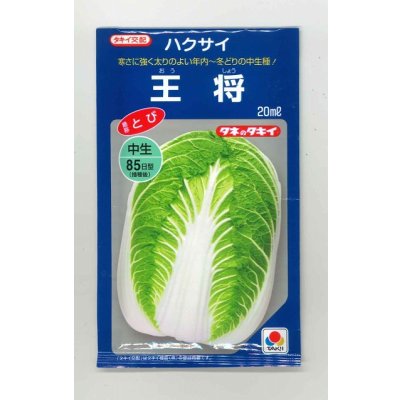 画像1: 送料無料　[白菜]　王将　20ml　タキイ種苗(株)