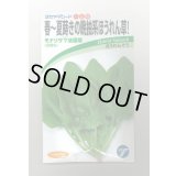 送料無料　[ほうれんそう]　モナリザ7法蓮草　30ml　(株)タカヤマシード
