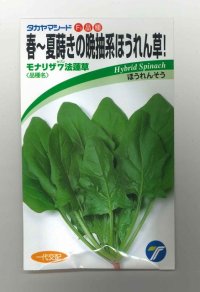 [ほうれんそう]　モナリザ７法蓮草　30ml 　（株）タカヤマシード