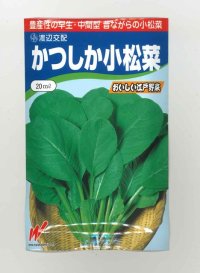 送料無料　[小松菜]　かつしか　20ml　渡辺農事（株）