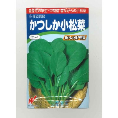 画像1: 送料無料　[小松菜]　かつしか　20ml　渡辺農事（株）