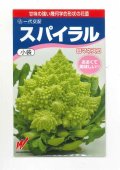 送料無料　[カリフラワー]　スパイラル　25粒　渡辺農事