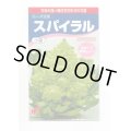 送料無料　[カリフラワー]　スパイラル　25粒　渡辺農事