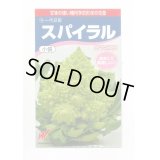 送料無料　[カリフラワー]　スパイラル　25粒　渡辺農事