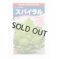 送料無料　[カリフラワー]　スパイラル　25粒　渡辺農事