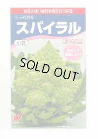 送料無料　[カリフラワー]　スパイラル　25粒　渡辺農事