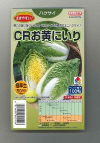 [白菜]　CRお黄にいり　100粒 ペレット種子　タキイ種苗（株）